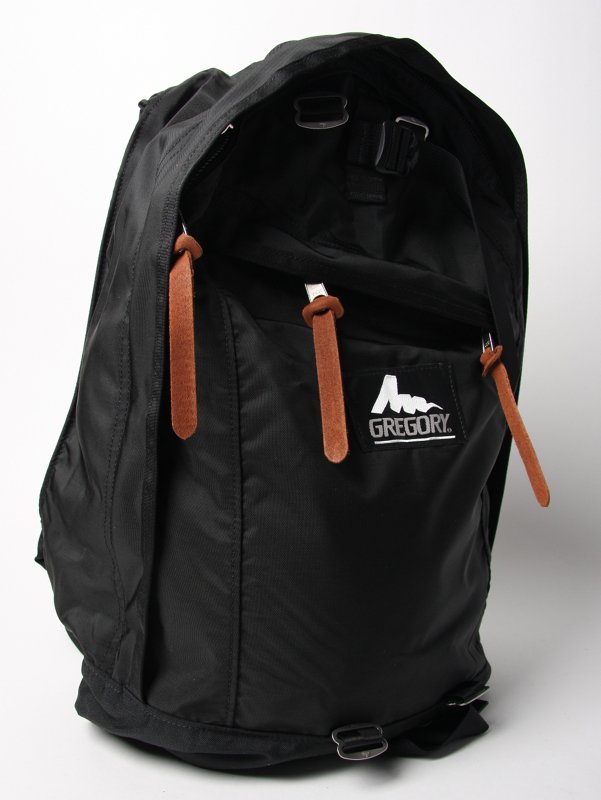 Gregory Back Pack