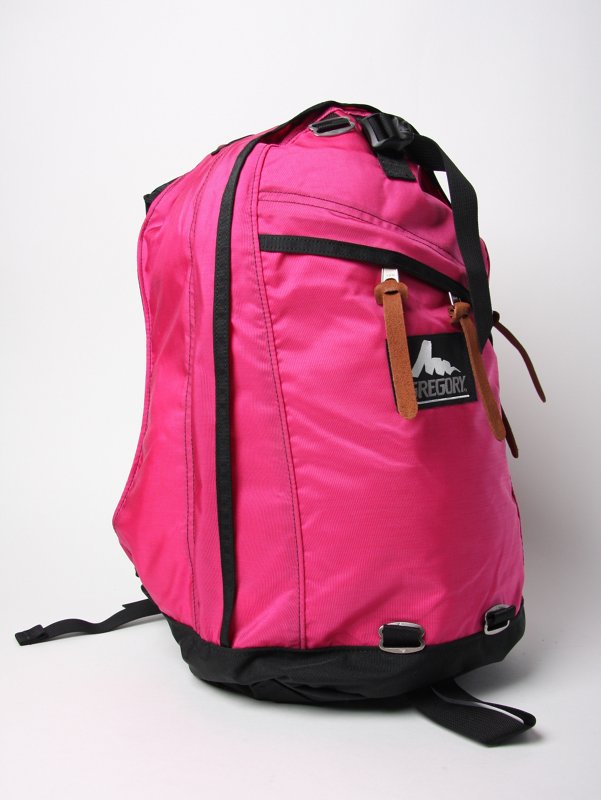 Gregory Back Pack