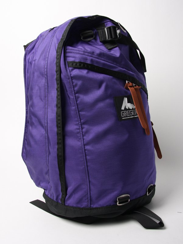Gregory Back Pack