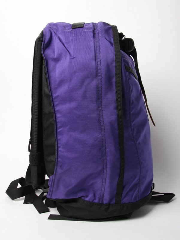 Gregory Back Pack