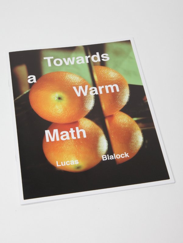 'Towards a Warm Math' by Lucas Blalock (2011)