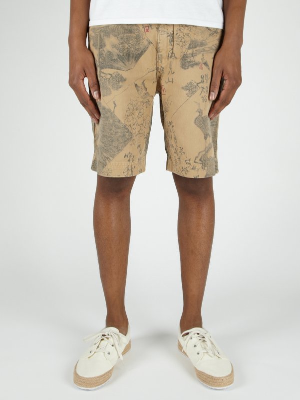 Polo Ralph Lauren Printed Shorts